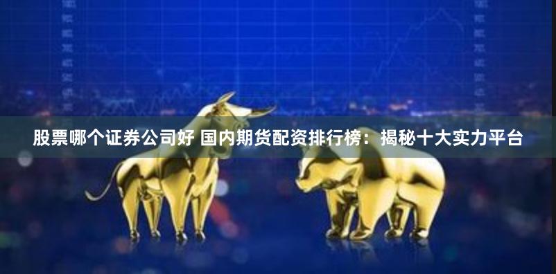股票哪个证券公司好 国内期货配资排行榜：揭秘十大实力平台