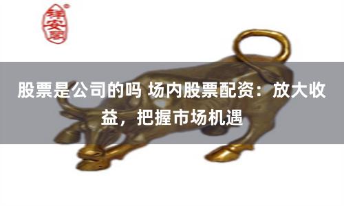 股票是公司的吗 场内股票配资：放大收益，把握市场机遇