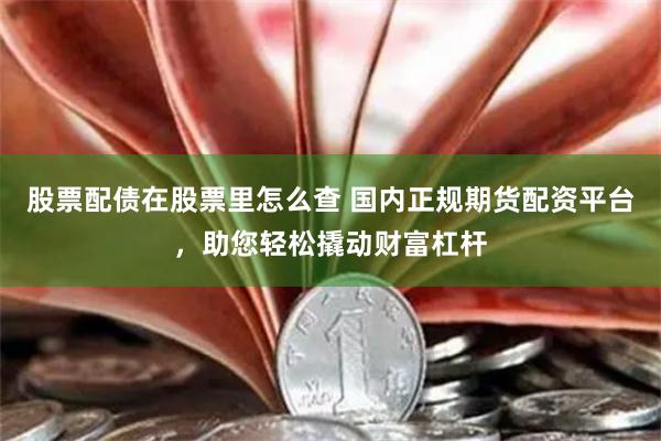 股票配债在股票里怎么查 国内正规期货配资平台，助您轻松撬动财富杠杆